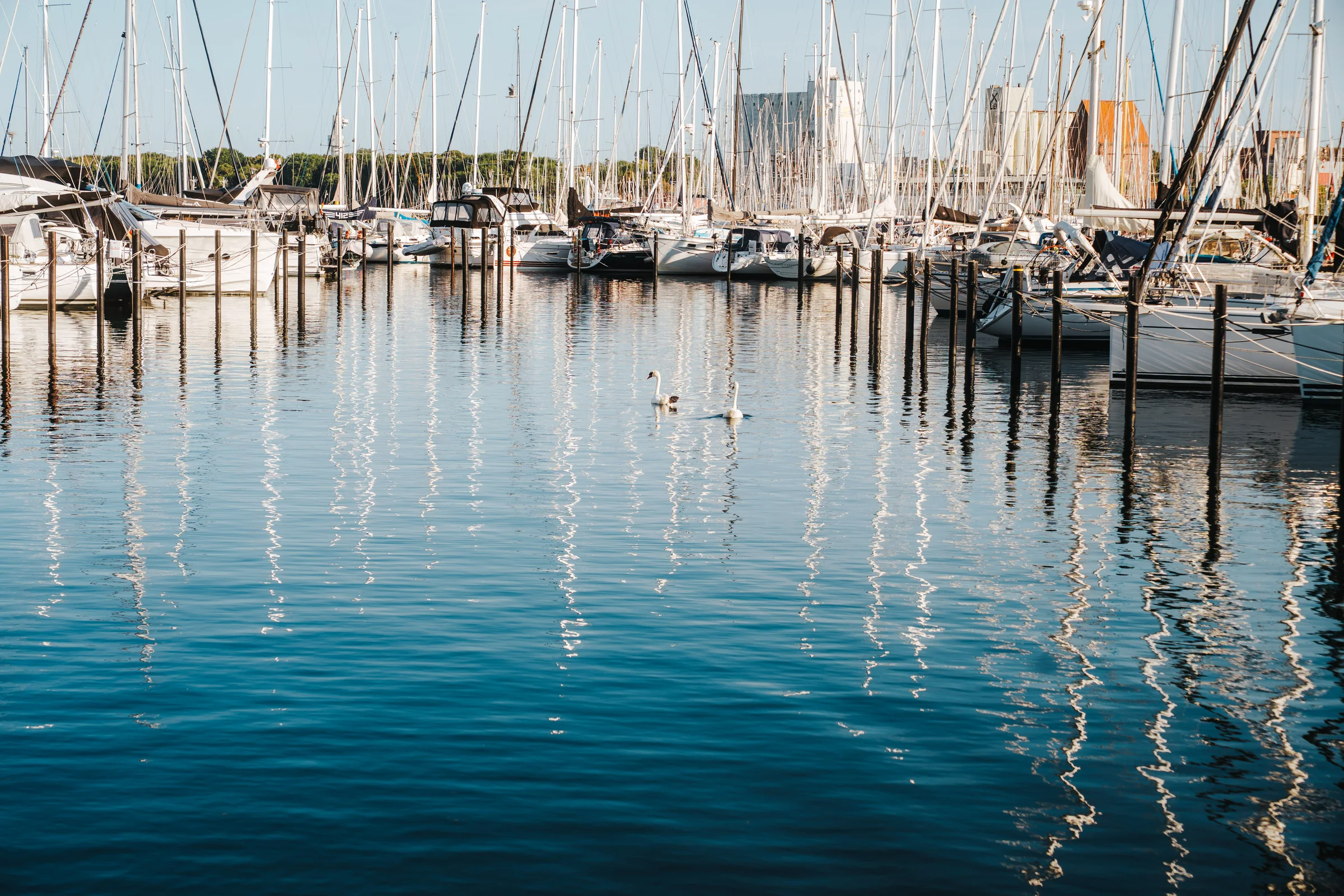 Segelboote im Hafen